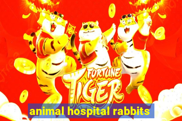 animal hospital rabbits